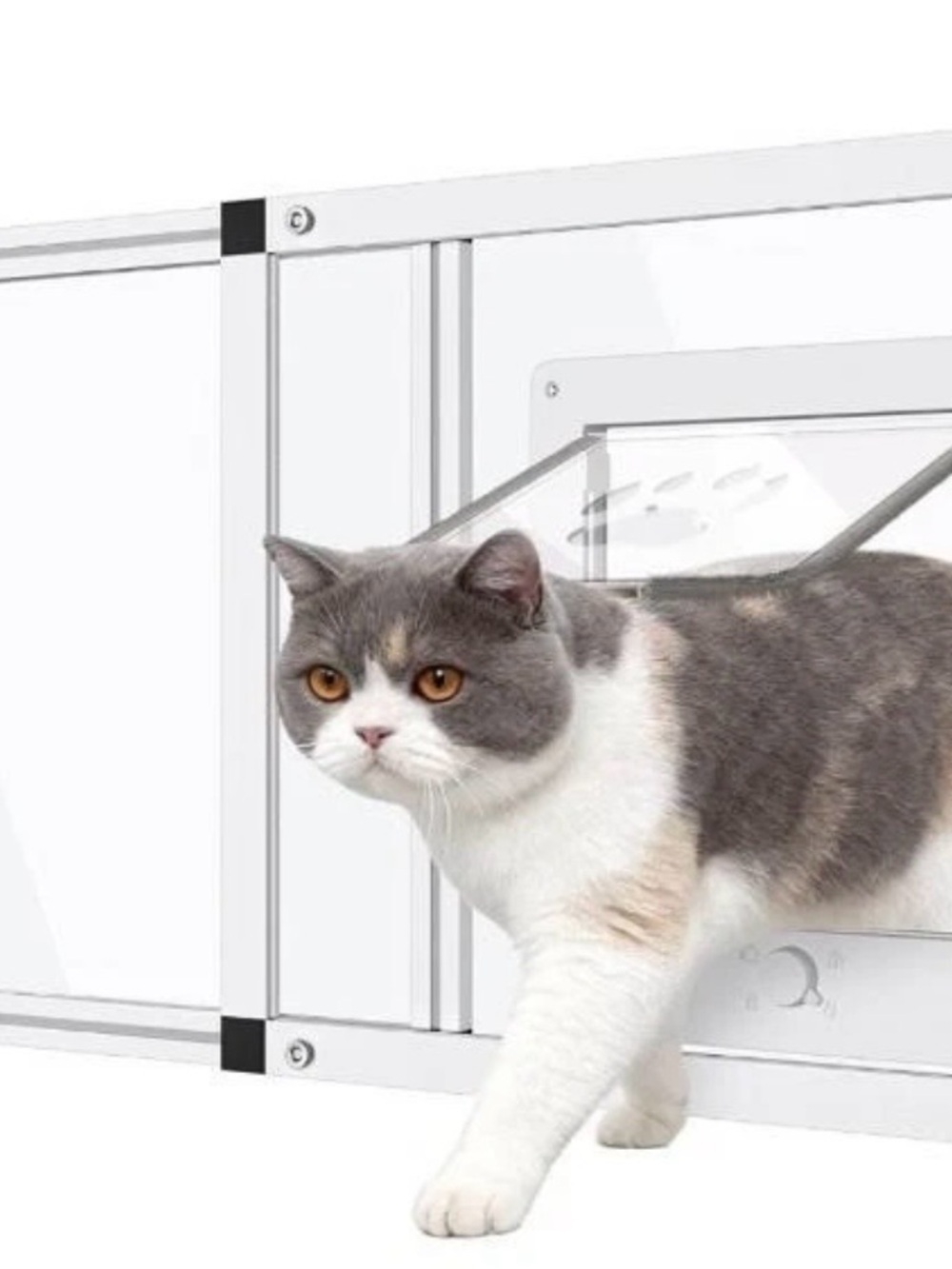 White Cat Door Panel with Clear Pet Flap - Small Pets